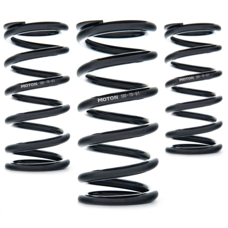 AST Linear Race Springs - 80mm Length x 160 N/mm Rate x 61mm ID - Set of 2 - AST - AST-80-160-61