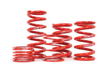 Load image into Gallery viewer, H&amp;R Springs ID Race Springs - H&amp;R - ZF105-025