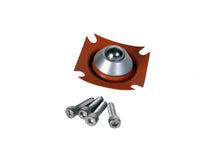 Load image into Gallery viewer, Aeromotive Diaphragm Repair Kit - A2000 Fuel Pump - Aeromotive Fuel System - 11001