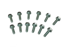 Load image into Gallery viewer, Moroso GM LS Header Bolts - Moroso - 38711