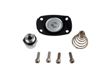Load image into Gallery viewer, Aeromotive Carb Regulator Repair Kit (for 13201/13205/13211/13215/13217/13251/13255) - Aeromotive Fuel System - 13005