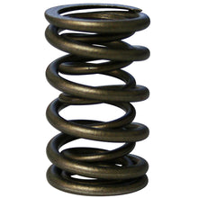 Load image into Gallery viewer, Pacaloy Dual Valve Springs; 1.260 Howards Cams 98223-1 - Howards Cams - 98223-1