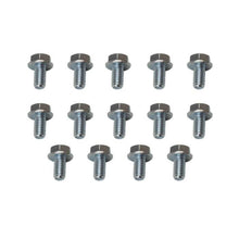 Load image into Gallery viewer, Moroso GM Powerglide Stamped Steel Transmission Pan Bolts - Set of 14 - Moroso - 38780