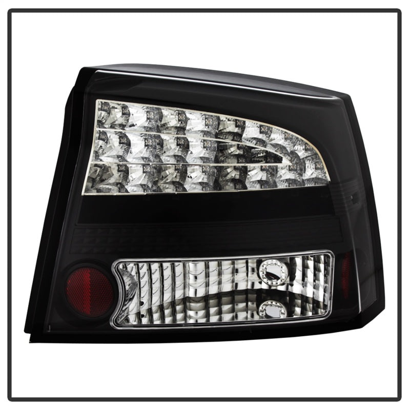 Spyder) LED Tail Lights - Black 2006-2008 Dodge Charger - SPYDER