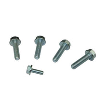 Load image into Gallery viewer, Moroso GM LS Oil Pump &amp; Oil Pick Up Bolt Kit - Moroso - 38306